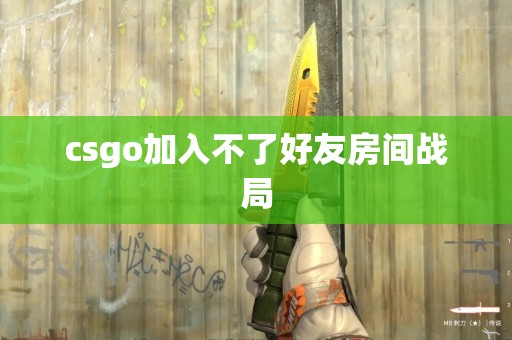 csgo加入不了好友房间战局