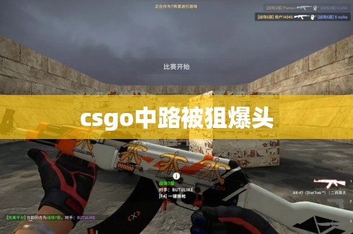 csgo中路被狙爆头