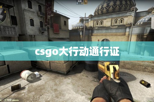 csgo大行动通行证