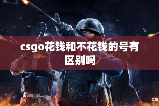 csgo花钱和不花钱的号有区别吗