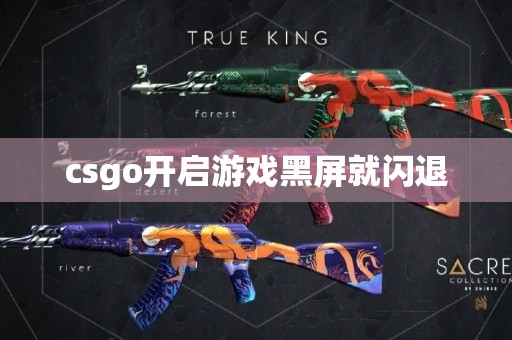 csgo开启游戏黑屏就闪退