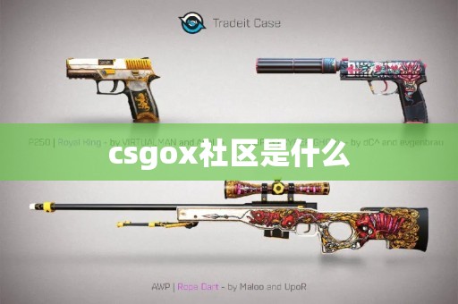 csgox社区是什么