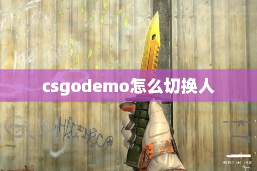 csgodemo怎么切换人