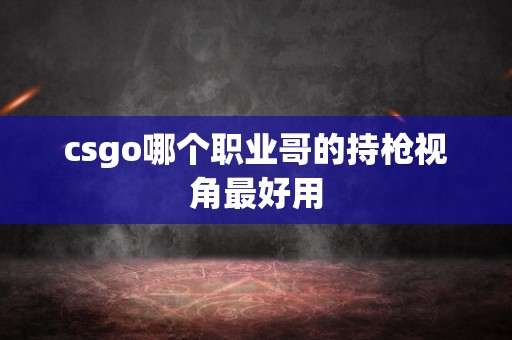 csgo哪个职业哥的持枪视角最好用