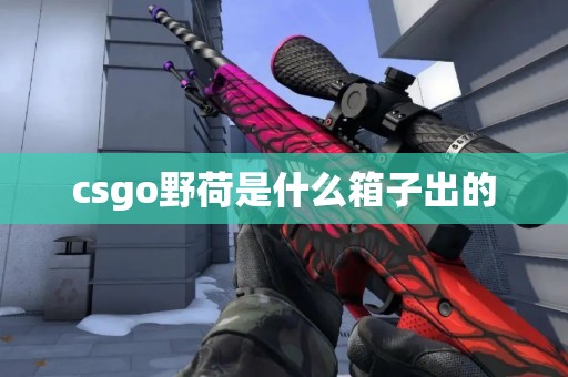 csgo野荷是什么箱子出的