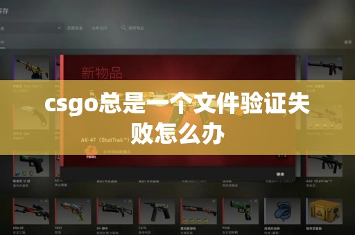 csgo总是一个文件验证失败怎么办