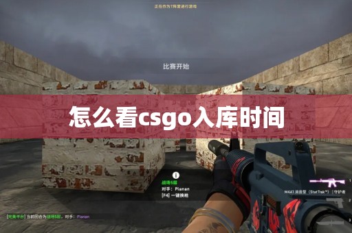 怎么看csgo入库时间