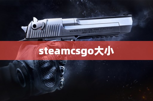 steamcsgo大小