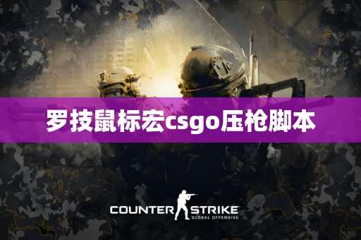 罗技鼠标宏csgo压枪脚本