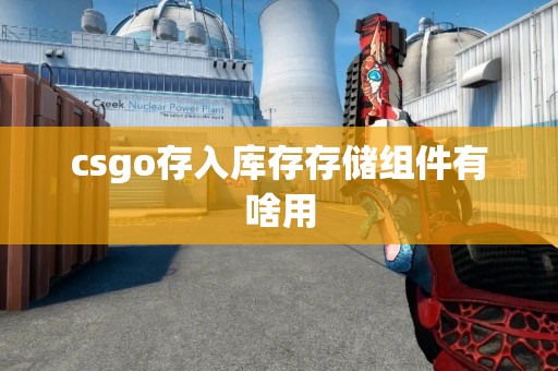 csgo存入库存存储组件有啥用