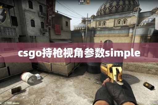 csgo持枪视角参数simple