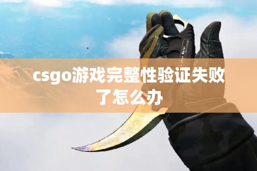 csgo游戏完整性验证失败了怎么办