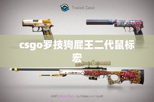 csgo罗技狗屁王二代鼠标宏