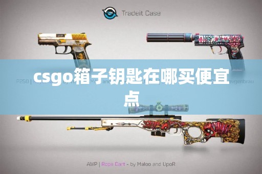 csgo箱子钥匙在哪买便宜点