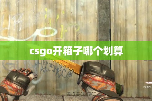 csgo开箱子哪个划算