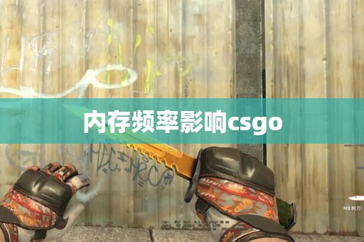 内存频率影响csgo