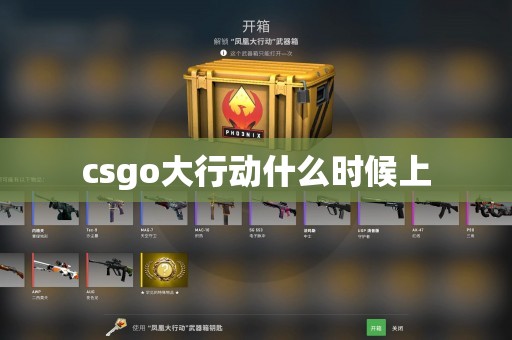 csgo大行动什么时候上