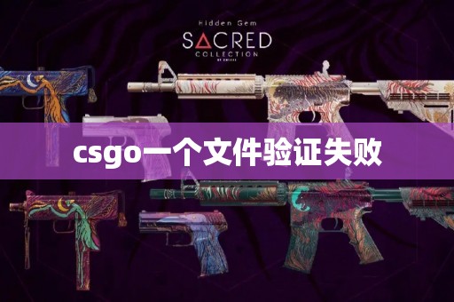 csgo一个文件验证失败