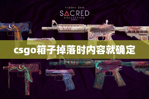 csgo箱子掉落时内容就确定