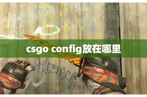 csgo config放在哪里