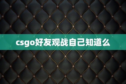 csgo好友观战自己知道么