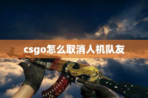 csgo怎么取消人机队友