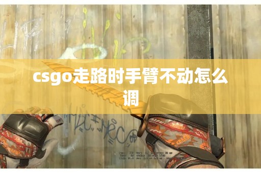 csgo走路时手臂不动怎么调