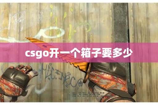 csgo开一个箱子要多少