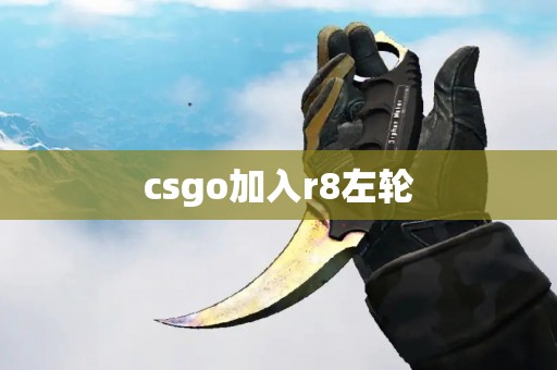 csgo加入r8左轮