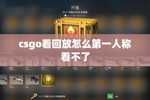 csgo看回放怎么第一人称看不了