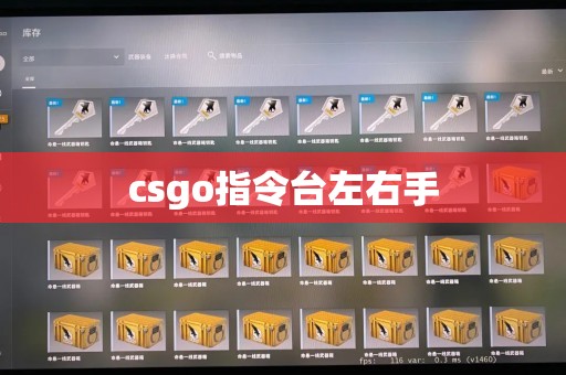 csgo指令台左右手