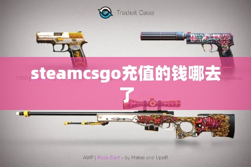 steamcsgo充值的钱哪去了