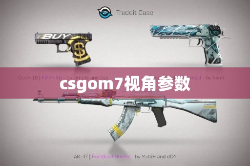 csgom7视角参数