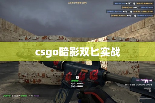 csgo暗影双匕实战