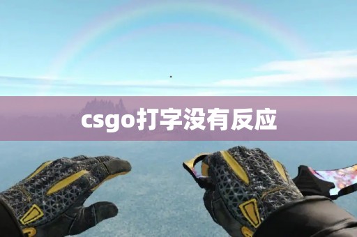 csgo打字没有反应