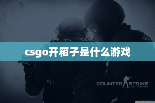 csgo开箱子是什么游戏