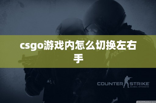 csgo游戏内怎么切换左右手