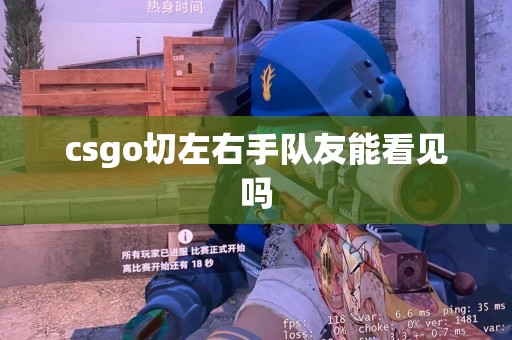 csgo切左右手队友能看见吗