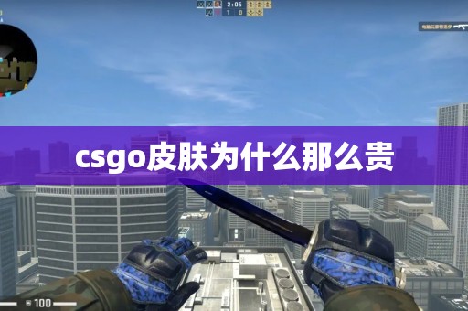 csgo皮肤为什么那么贵