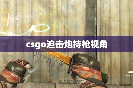 csgo迫击炮持枪视角