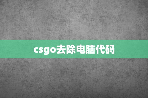 csgo去除电脑代码