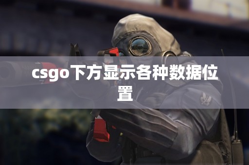 csgo下方显示各种数据位置