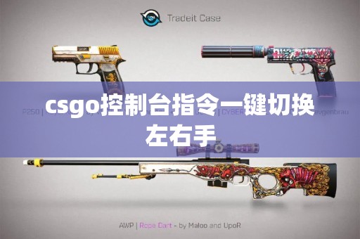 csgo控制台指令一键切换左右手