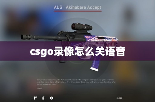 csgo录像怎么关语音