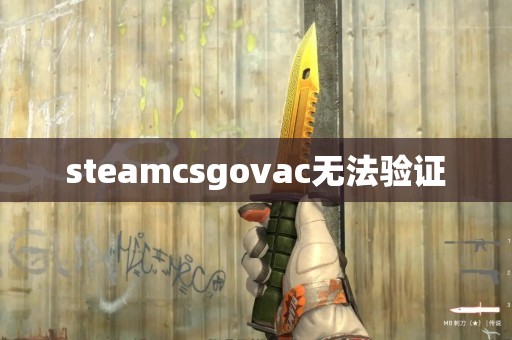 steamcsgovac无法验证