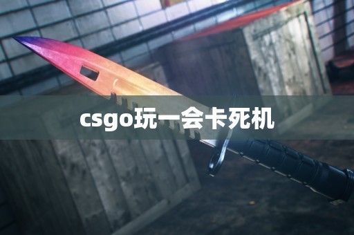 csgo玩一会卡死机