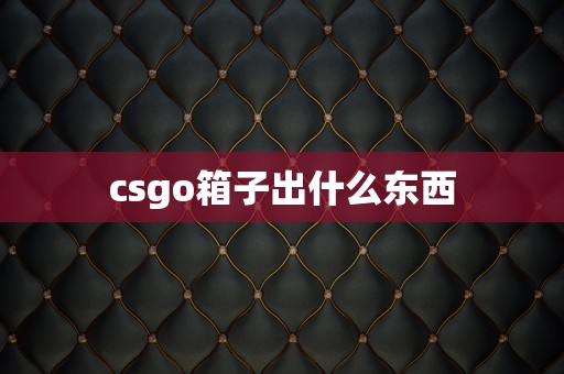 csgo箱子出什么东西