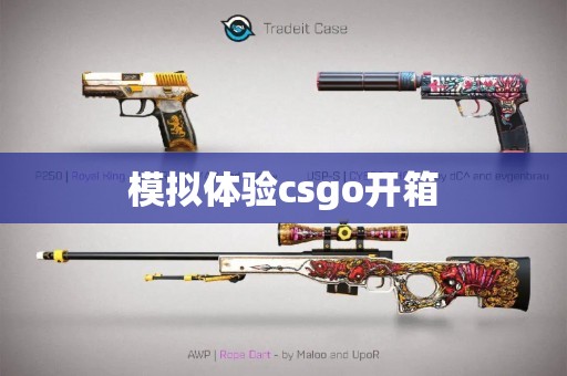 模拟体验csgo开箱