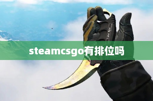 steamcsgo有排位吗