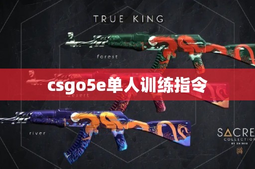 csgo5e单人训练指令